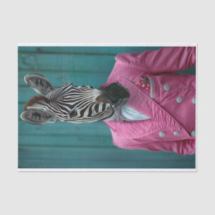 Roscoe the Zebra Tissue Paper