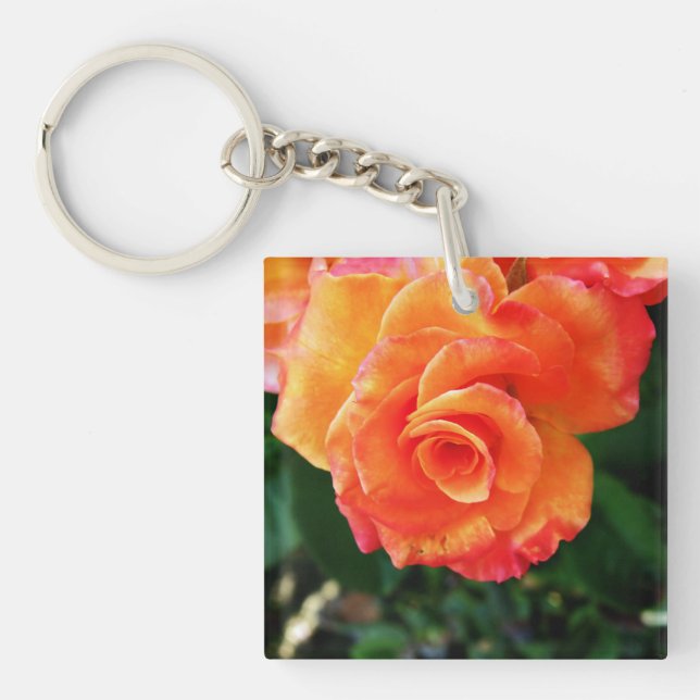 Rose (Devant)