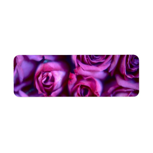 Rose (Devant)