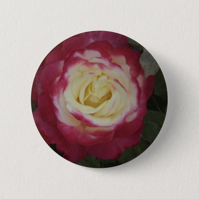 Rose 2 Inch Round Button (Front)