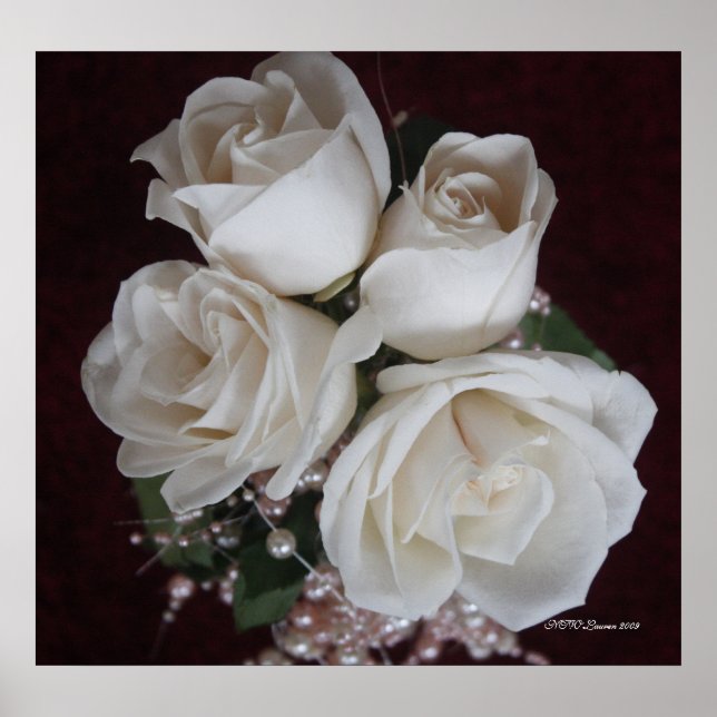 Rose 2 poster (Front)