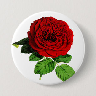 Rose 3 Inch Round Button