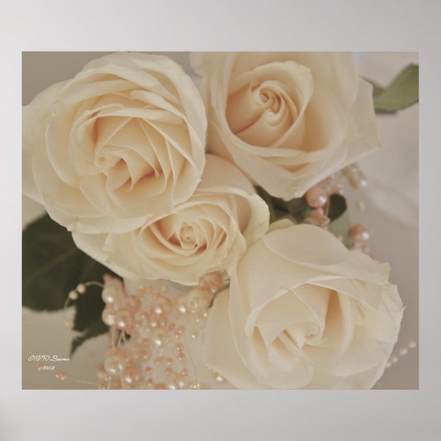 Rose 3 poster (Front)