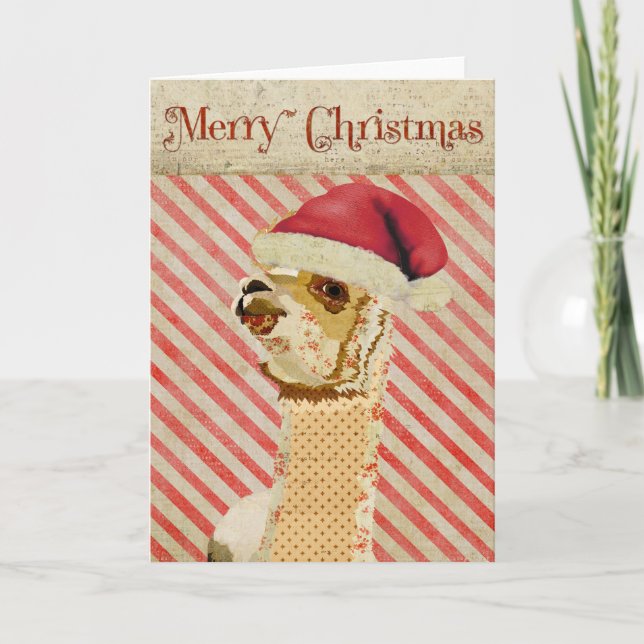 Rose Alpaca Christmas Card (Front)