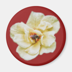 Rose and Bee Magnet
