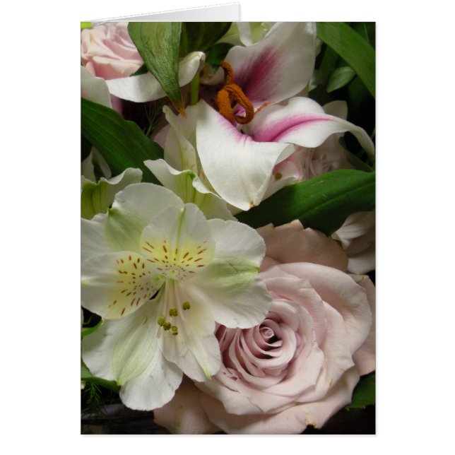 Rose and Lily (Front)