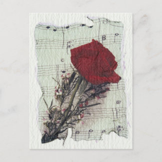 <Rose and Music> by Kim Koza 2 Postcard