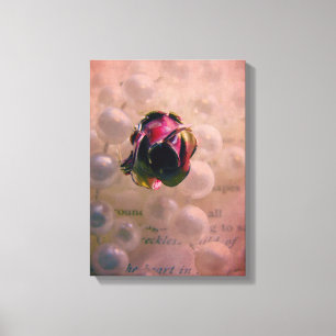 Rose and Pearls Canvas Print