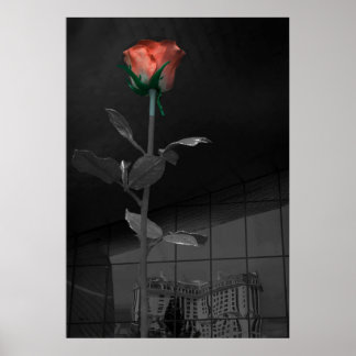 Rose and Reflection, Las Vegas Poster