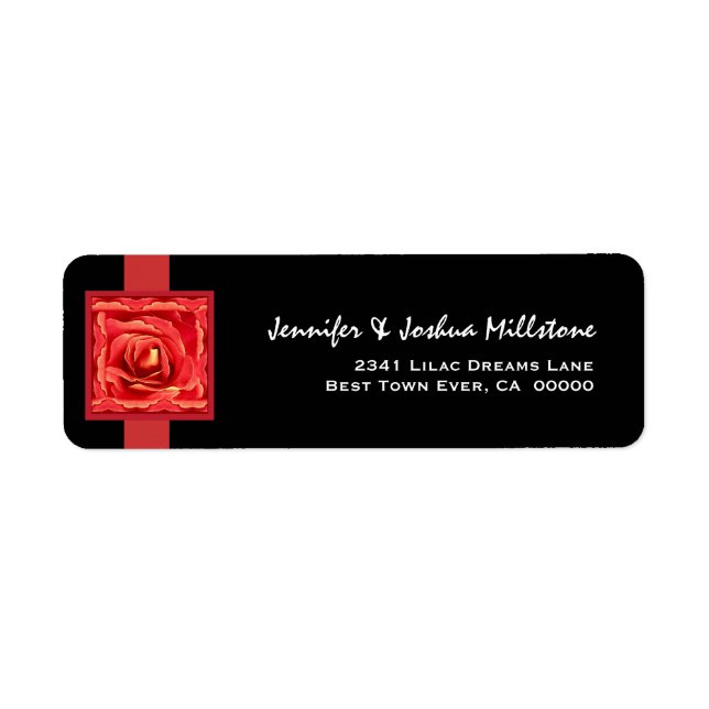 Rose and Rose Petals (Front)