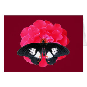 Rose and Swallowtail