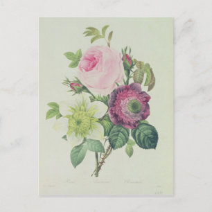 Rose, anemone and Clematide Postcard