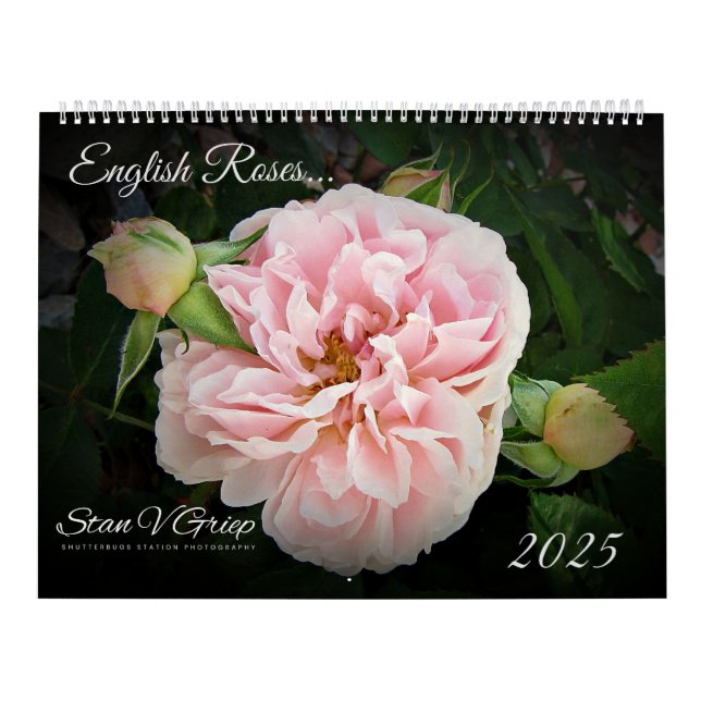 Rose Anglais 2025 Grand Wall Calendrier Par Stan (Protection)