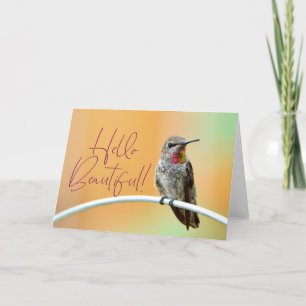Rose Anna's Hummingbird Photo Bonjour belle carte
