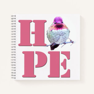 Rose Anna's Hummingbird Photo HOPE 8x8 Carnet
