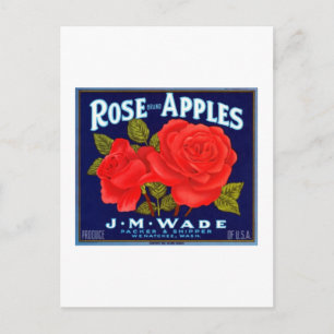 Rose Apples Wenatchee Washington Postcard