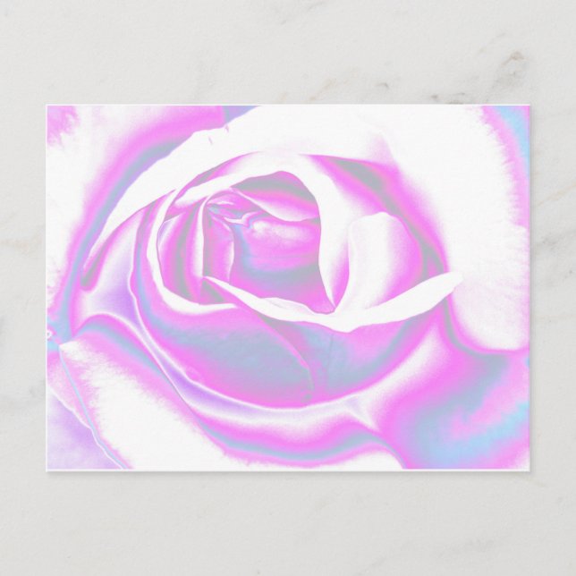 Rose Art Postcard (Front)