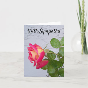 Rose avec pluie tombe sur une carte Sympathy