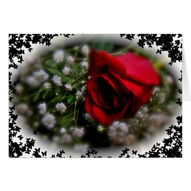 Rose & Baby's Breath (Front Horizontal)