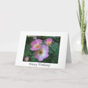 Rose birthday card