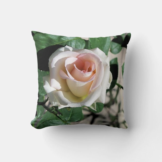Rose blanc Coussin Centre 16" x 16" (Recto)