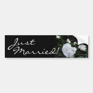 Rose blanche neige - Sticker pare-chocs