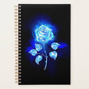 Rose bleu brûlant