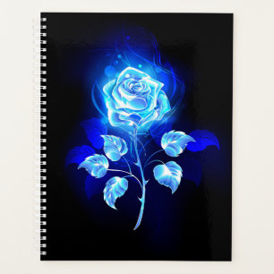 Rose bleu brûlant