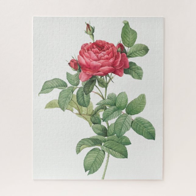 Rose Blooming Flower Vintage Old Illustration Jigsaw Puzzle (Vertical)