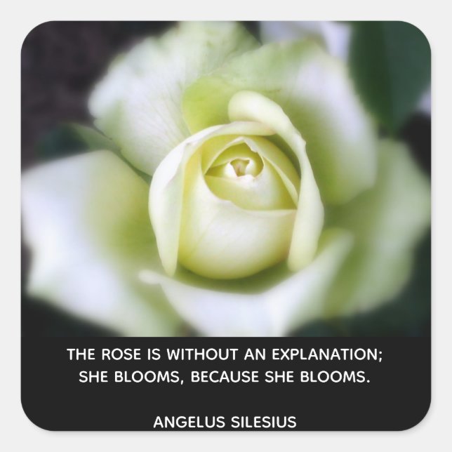 Rose Blooms Quote Square Sticker (Front)