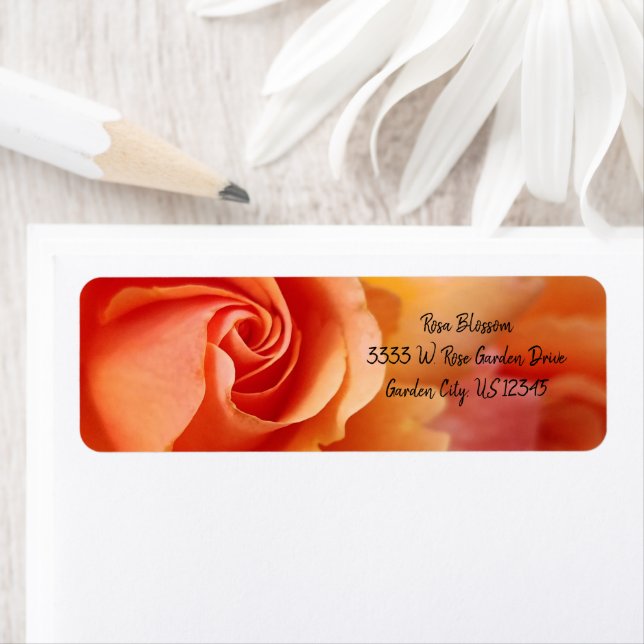 Rose Blossom / Apricot Peach /Return Address Label (Insitu)