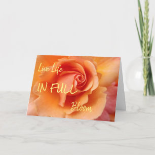 Rose Blossom / Apricot Peach / Thinking Of You Card