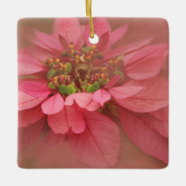Rose Blush Poinsettias Digital Art Ceramic Ornament (Front)