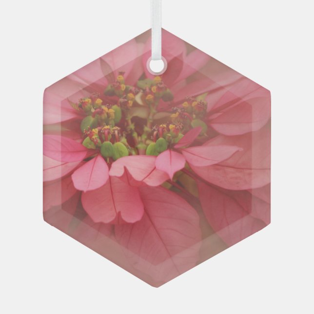 Rose Blush Poinsettias Digital Art Glass Ornament (Front)