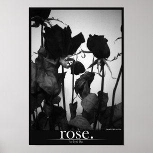 rose [border] poster