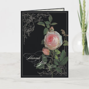 Rose botanique de rose, notes noires de Merci de