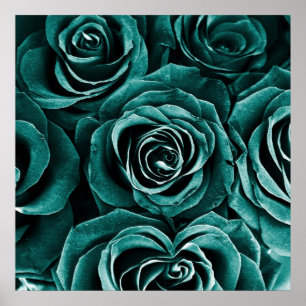 Rose Bouquet in Turquoise Poster