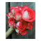 Rose Bouquet | Rustic Barn Wood Poster