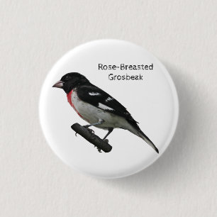 Rose-Breasted Grosbeak 1 Inch Round Button
