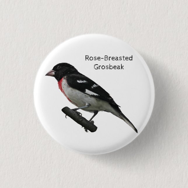 Rose-Breasted Grosbeak 1 Inch Round Button (Front)