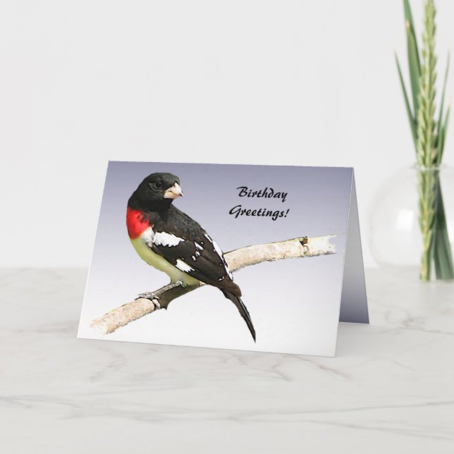 Rose-breasted Grosbeak Birthday Card (Front)