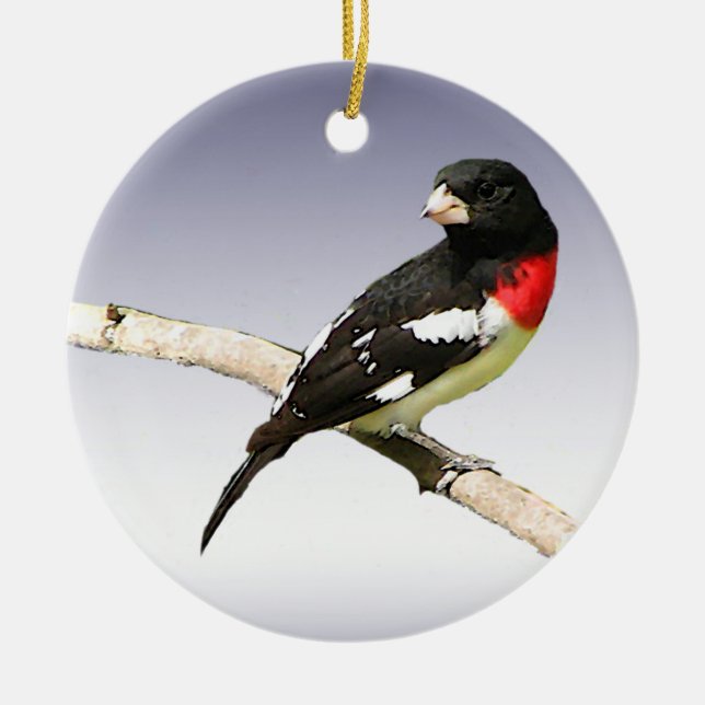 Rose-breasted Grosbeak Ceramic Ornament (Front)