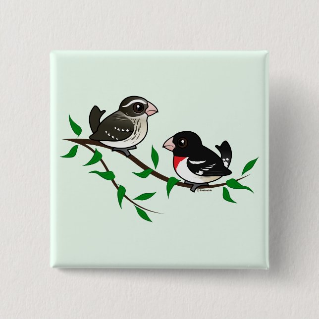 Rose-breasted Grosbeak Couple 2 Inch Square Button (Front)