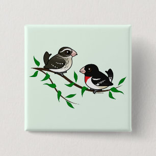 Rose-breasted Grosbeak Couple 2 Inch Square Button