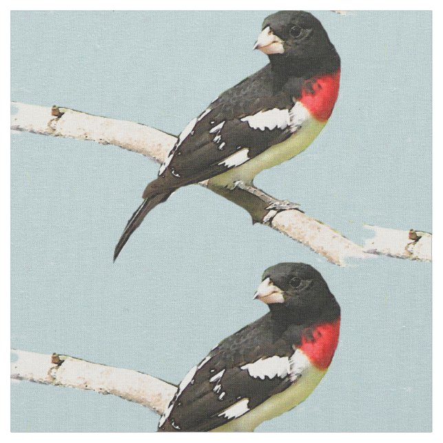 Rose-Breasted Grosbeak Fabric (Close Up)