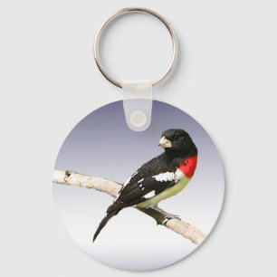 Rose-breasted Grosbeak Keychain
