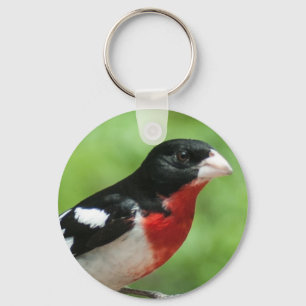 Rose-breasted Grosbeak Keychain
