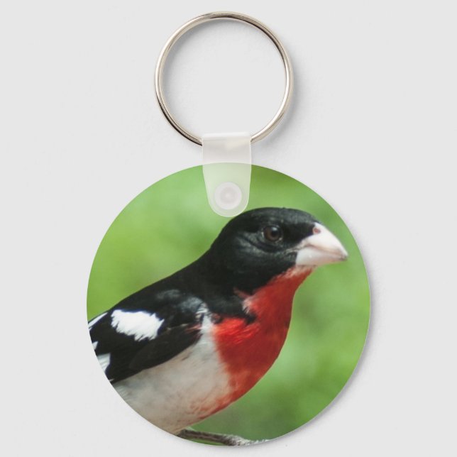 Rose-breasted Grosbeak Keychain (Front)