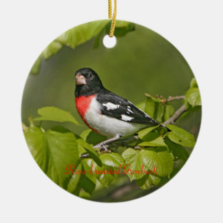 Rose-breasted Grosbeak Photography Round Ceramic Ornament
