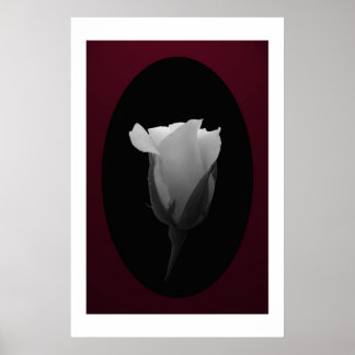 Rose Bud (Black & White) Poster